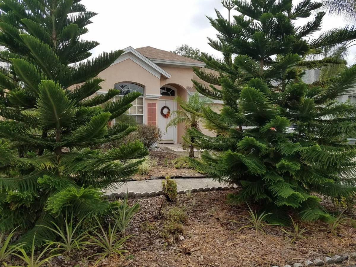 Cozy And Conveniently Located Pool Home With Free Wifi Тампа Екстер'єр фото
